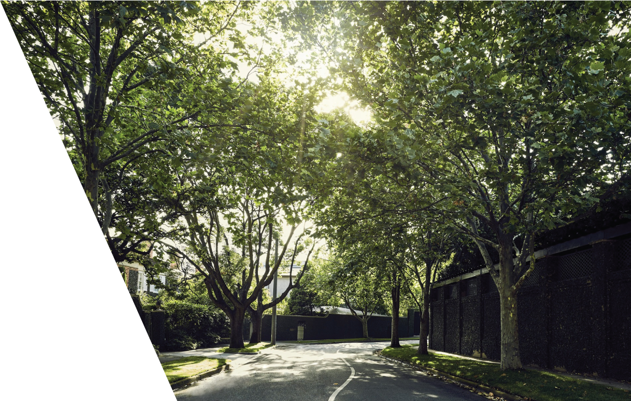 Toorak-Landscape 